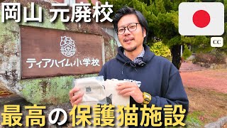 【ティアハイム小学校】岡山県にある廃校の猫保護施設は人間も猫も天国の空間だった