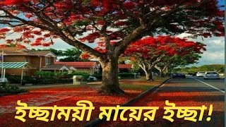 আনন্দপথ-৬৩১  ইচ্ছাময়ী মায়ের ইচ্ছা!