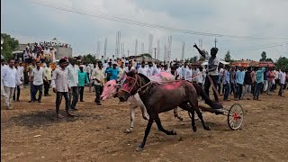 वाळकी जनरल एक बैल🐂 एक घोडा🐎 शर्यत #bailgada #ghodagadi #bailgadasharyat #ghodagadisharyat