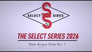 The 2026 Select Series: New Angus Sires No 1