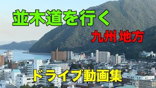 【 並木道シリーズ (九州 編) 】九州地方の並木道ドライブ動画を５箇所収録しています。景色を楽しみながらのドライブにお勧めです