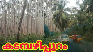 മണ്ണാർകാടിനിട വഴികളിലൂടെ പുലപ്പറ്റവഴി കടമ്പഴിപുറത്തേക്ക്