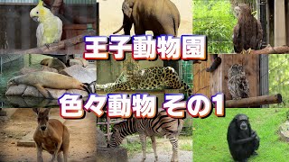 王子動物園の色んな動物達！その1