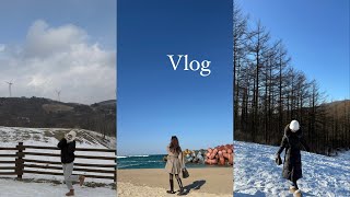 Vlog | 여행 브이로그 🚗| 눈없는 대관령 현실 ..❄|  평창감성숙소추천 🏠 | 강릉소품샵 🎀