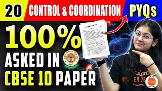 20 Most Important Questions (PYQ) from Control And Coordination Class 10 Science ✅ CBSE Board 2024!