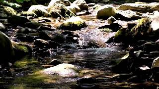 Beautiful Mountain River Flowing Sound. Forest River, Relaxing Nature Sounds White Noise for Sleep.