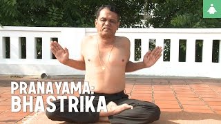 Learn the techniques of Pranayama: Bhastrika