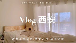 西安独居小姐姐|月租1600|社畜•工作日常