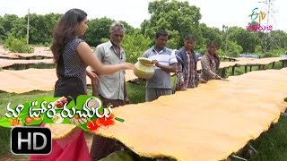 Maa Voori Ruchulu - mamidi tandra-nuziveedu - 31st July 2016 - మా ఊరి రుచులు – Full Episode