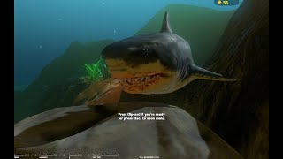 Gameplay Fish feed & grow survival