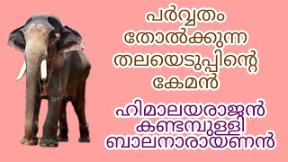 Kandampully Balanarayanan Story | Telephant കണ്ടമ്പുള്ളി ബാലനാരായണൻ