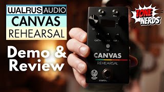 Is the Walrus Audio Canvas Rehearsal Worth The Hype?