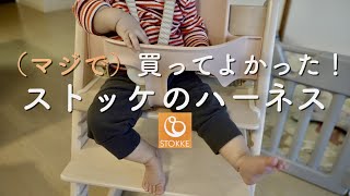 （マジで）買ってよかった！ストッケのハーネスで娘の落下を防ぐ！Stokke Trip Trap Harness 【#155】