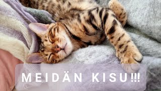 ASMR / Kisun esittelyvideo! Tapaa Vivien