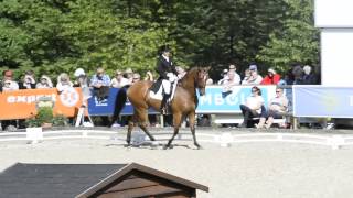 DM Dressur Grand Prix Kür - Lisbet Seierskilde Pedersen Og Jonstrupgårdens Raneur