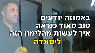 דניאל אלעזר כתב הרייטינג של כאן 11 נחשף