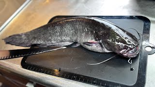 This is what happens when you give catfish caught in the river to a professional chef