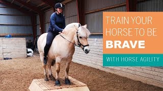 Horse Agility Training - Ellen Sauer Horse Training