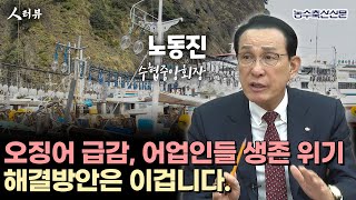 오징어 급감, 어업인들 생존 위기...해결방안은 이겁니다!(노동진 수협중앙회장) | 人터뷰 EP. 7