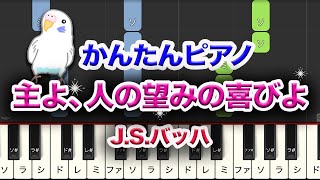 主よ、人の望みの喜びよ　J.S.バッハ　簡単ピアノ