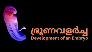 Reproductive Health  - ഭ്രൂണവളർച്ച (Development of an Embryo)