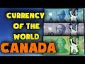 Currency of the world - Canada. Canadian Dollar. Exchange rates Canada. Canadian banknotes