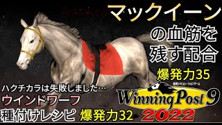 【ウイニングポスト9 2022】とてつもない爆発力！メジロマックイーン\u0026ウインドワーフ優良繁殖牝馬の作り方【メジロマックイーン\u0026ウインドワーフ】