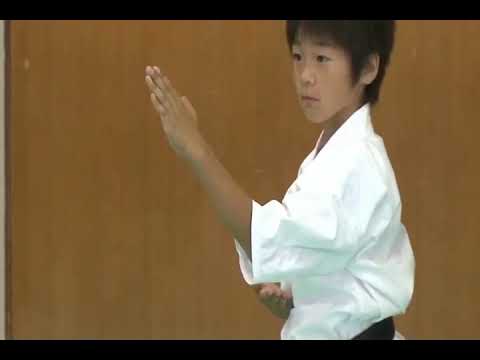 Kyokushin Kata Explanation Pinan Sono Ichi 1 Youtube