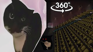 Maxwell the Cat 360° - CINEMA HALL | VR/360° Experience