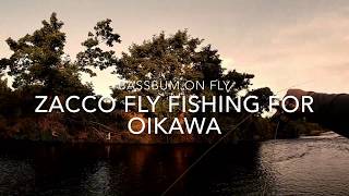 Fly Fishing for Oikawa 08 13 2019