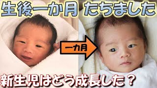 190908 生後31日目 新生児 一カ月の変化