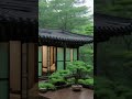 빗소리와 함께하는 마음의 휴식 _ 잠이 잘 오는 빗소리 #rain #rainsounds #asmr #비 #빗소리