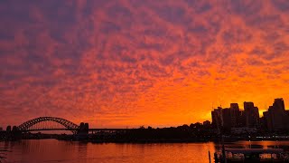 Sights and sounds from the most amazing city in the world. This is Sydney Harbour Australia LIVE