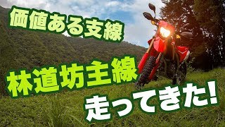 奥多摩の林道峰谷線の支線 林道坊主線を走ってきた！【CRF250L】【モトブログ】【motovlog】【林道】【ツーリング】