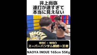 【高速連打】井上尚弥【WBC・WBOスーパーバンタム級統一王者】