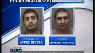 260 Pound Pot Bust