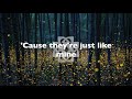 Breaking Benjamin - Firefly (Lyrics)