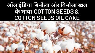 ऑल इंडिया बिनोला और बिनौला खल के भाव। Cotton seeds \u0026 Cotton seeds oil cake