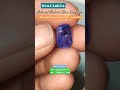 neelam blue sapphire natural stone non heated non treated 100% guaranteed neelam blue_sapphire