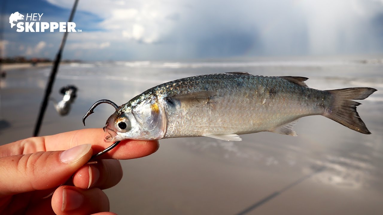 First Time Beach Fishing W/ This Bait: What Will I Catch? - YouTube