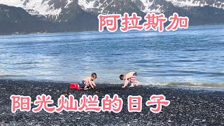 旅居阿拉斯加Living In Alaska 17:阳光灿烂的日子里，首次近距离看海狮捕食…