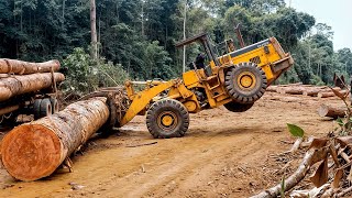 Dangerous Fastest Idiots Cutting Tree Files | Homemade Modern Wood Cutting Chainsaw Machines #28