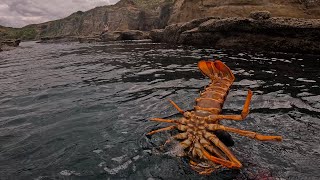 Diving Auckland’s West Coast