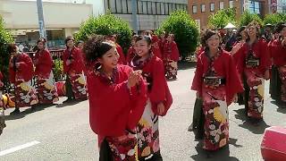 kagura 犬山踊芸祭2017　パレード