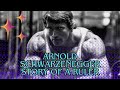 Arnold Schwarzenegger From Bodybuilder to Governor