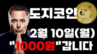 🚨도지코인 2월10일에 \