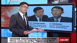 Sub anchor China vows to strike tigers and flies CCTV News   CNTV English