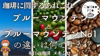 ブルーマウンテンとブルーマウンテンNo1の違いは何ですか？　2024年12月12日