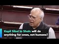 Kapil Sibal to Shah: will do anything for cows, not humans?