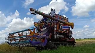 รถเกี่ยวข้าวแรงๆ!! รถเกี่ยวนวดข้าว บางไทร การช่าง COMBINE harvester